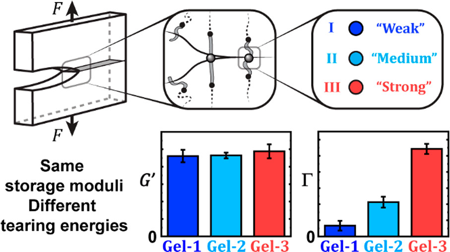 J. Am. Chem. Soc. (@j_a_c_s) on Twitter photo You can literally feel the effect of aryl vs. alkyl substituents on reactivity with your hands in this new work from <a href="/CciMonet/">MONET-CCI</a>.
<a href="/CraigGroup_Duke/">Craig Group</a> <a href="/olsenlabmit/">Olsen Lab @ MIT</a> <a href="/DukeChemistry/">Duke University Chemistry</a> acspubs.co/PEwY50E0zWG You can literally feel the effect of aryl vs. alkyl substituents on reactivity with your hands in this new work from <a href="/CciMonet/">MONET-CCI</a>.
<a href="/CraigGroup_Duke/">Craig Group</a> <a href="/olsenlabmit/">Olsen Lab @ MIT</a> <a href="/DukeChemistry/">Duke University Chemistry</a> acspubs.co/PEwY50E0zWG