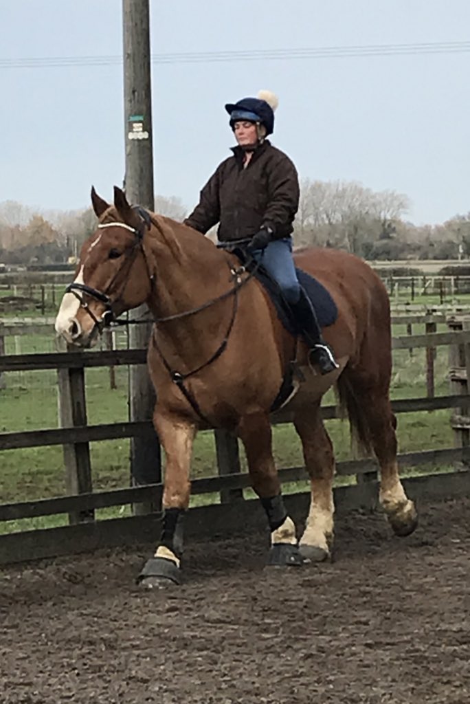 archiesauraus's tweet photo. We had our dressage session in the smaller school (harder to do corners) while there was lots of fun jumping going on in the big school. I admonished Mum with a playful nip and you can imagine how well that was received! Long story short, do not P off your Mum. #WorkedMySocksOff https://t.co/lb1rg3Wqiv