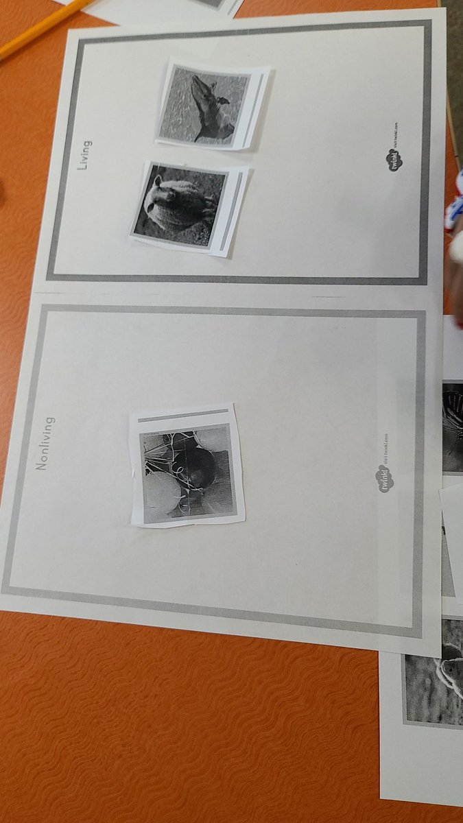 sjhart's tweet photo. @ForestvilleRd Our kinders from room 211 know the difference between living and nonliving things. I know their teacher Mrs. Harper is proud of them. And they are hard workers too!! #superfres #mediarocks #integratedlesson https://t.co/GXi2scb2Ff