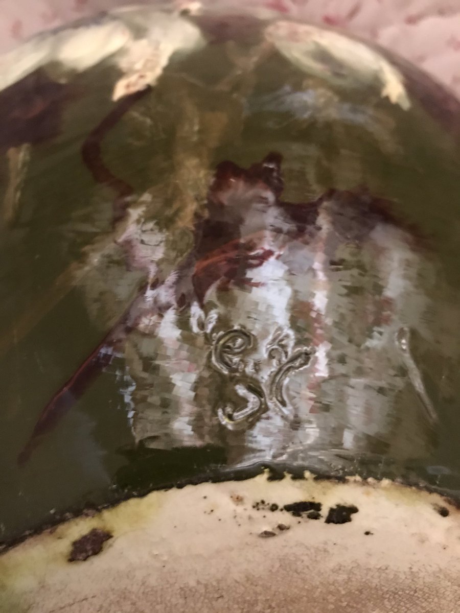 StokesyDT tweet media