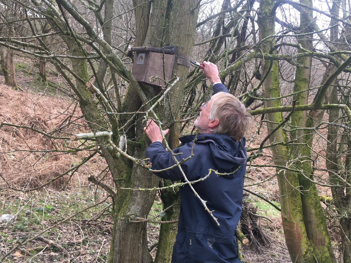 Thanks Pete and Sandra for putting up a couple more bird boxes in Cudwell meadow. Lets hope they soon find residents!