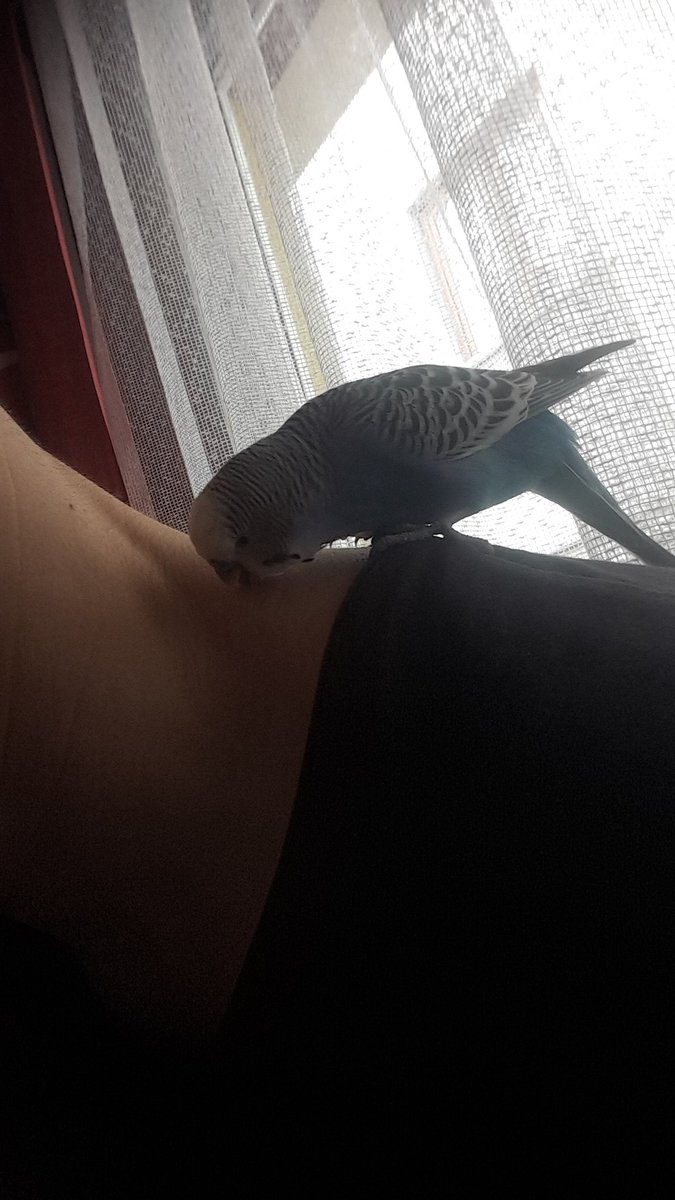 Boyundan öpülmek...