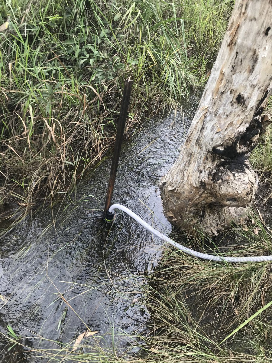 eosense's tweet photo. Great research using the #eosGP from Clem Duvert and team from @CDUni !!

Derived DIC and Carbonate BufferingEnhance Fluvial #CO2 Evasion in Two Australian
Tropical Rivers

@HutleyLindsay

https://t.co/T4ZL736ivW https://t.co/MnzyKpJgtt