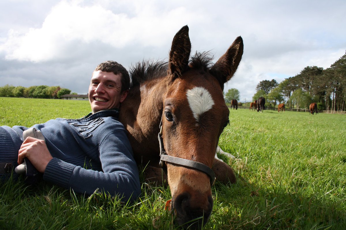 Irish National Stud (@irishnatstud) on Twitter photo Congratulations to the Fitzpatrick family today on the most emotional <a href="/CheltenhamRaces/">CheltenhamRacecourse</a> Festival winner of the week in Sir Gerhard
He was foaled at The INS but bred by friend & former student Jonathan Fitzpatrick who sadly never got to see him become a champion
📸<a href="/AtTheRaces/">At The Races</a> Congratulations to the Fitzpatrick family today on the most emotional <a href="/CheltenhamRaces/">CheltenhamRacecourse</a> Festival winner of the week in Sir Gerhard
He was foaled at The INS but bred by friend & former student Jonathan Fitzpatrick who sadly never got to see him become a champion
📸<a href="/AtTheRaces/">At The Races</a>