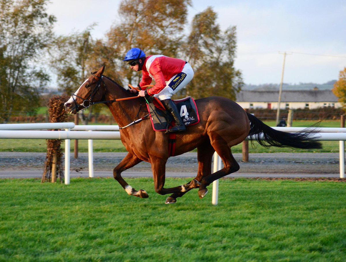 IrishNatStud's tweet image. Congratulations to the Fitzpatrick family today on the most emotional @CheltenhamRaces Festival winner of the week in Sir Gerhard

He was foaled at The INS but bred by friend &amp;amp; former student Jonathan Fitzpatrick who sadly never got to see him become a champion 

📸@AtTheRaces