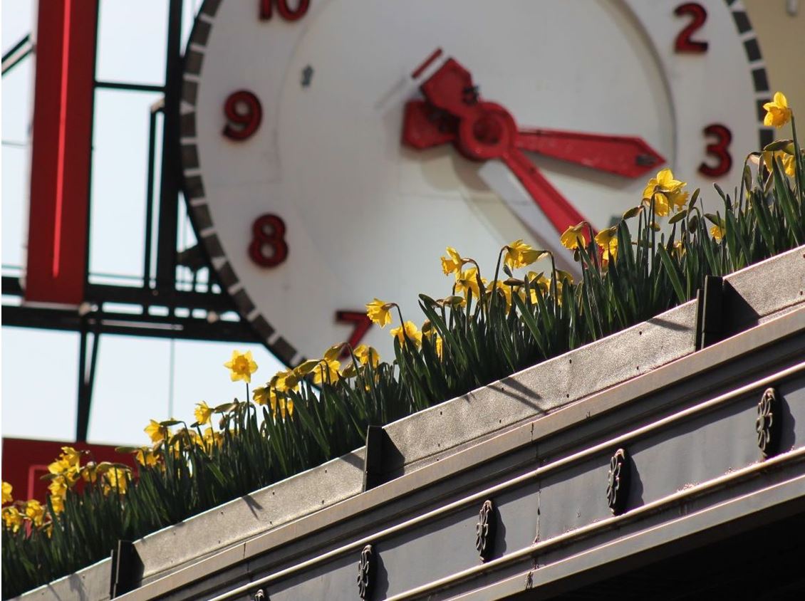 VisitSeattle's tweet image. For 24 years, Pike Place Market has celebrated the arrival of spring with daffodils. Stop by @pike_place to pick up your FREE small bundle of daffodils &amp;amp; join their spring celebration on Saturday, March 20 ☀️. See you there! 

bit.ly/38J9Pg2

Photo: Pike Place Market