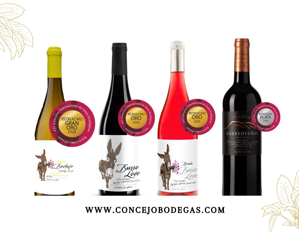 Jesus Pilar Sobejano tweet media