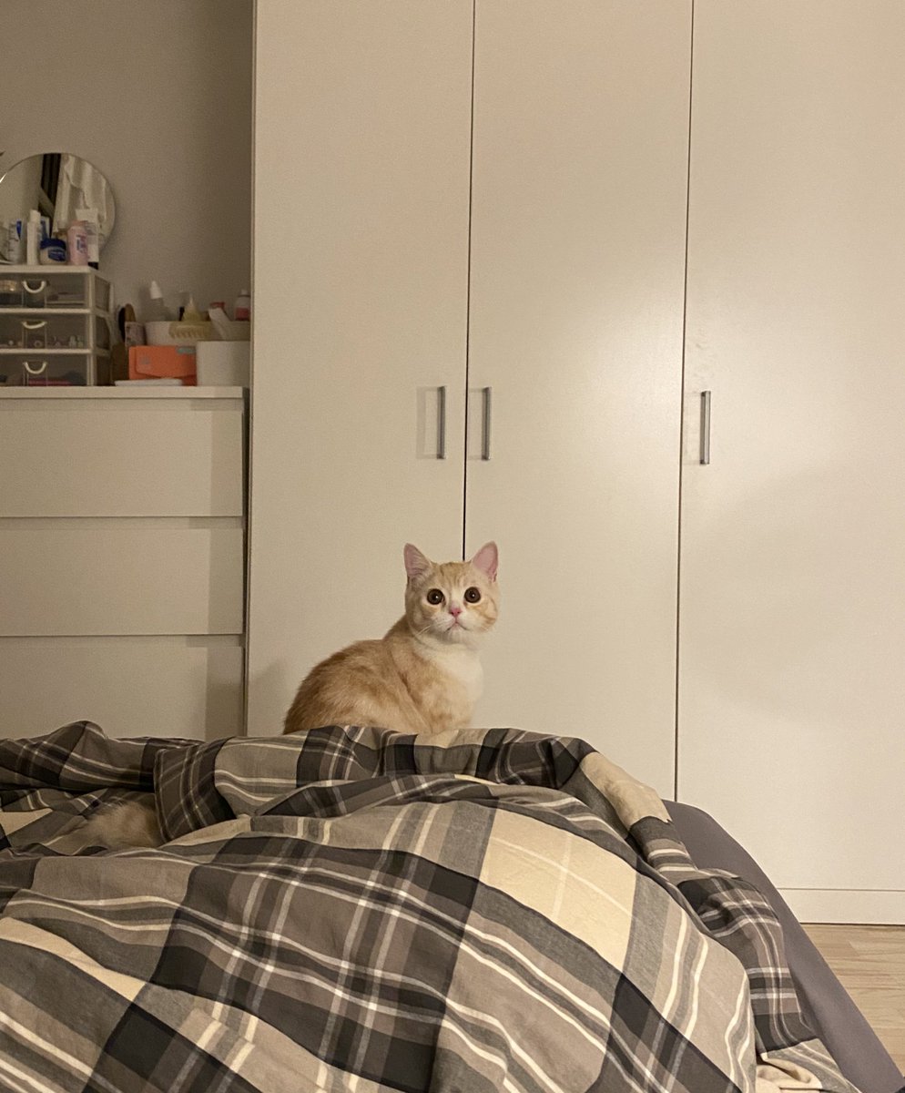 แม่ เมื่อไหร่ปิดไฟ