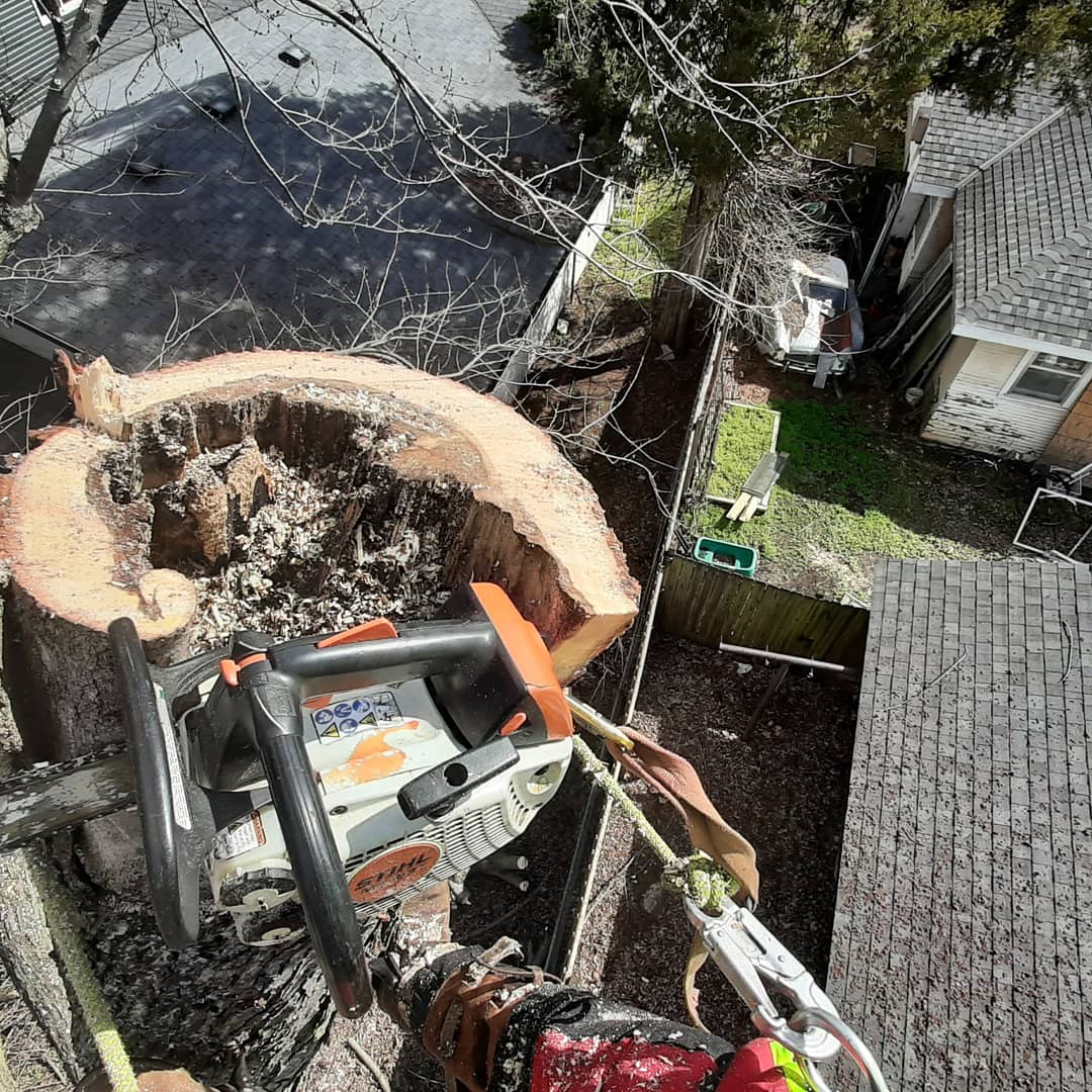 Thanks to <a href="/cityutilities/">City Utilities</a> for sending John Cantrell and making our job more safe by removing the 2 service wires.

We removed the large hollow piece that was leaning over our client's property, one area was big enough for the chainsaw to fit in it.