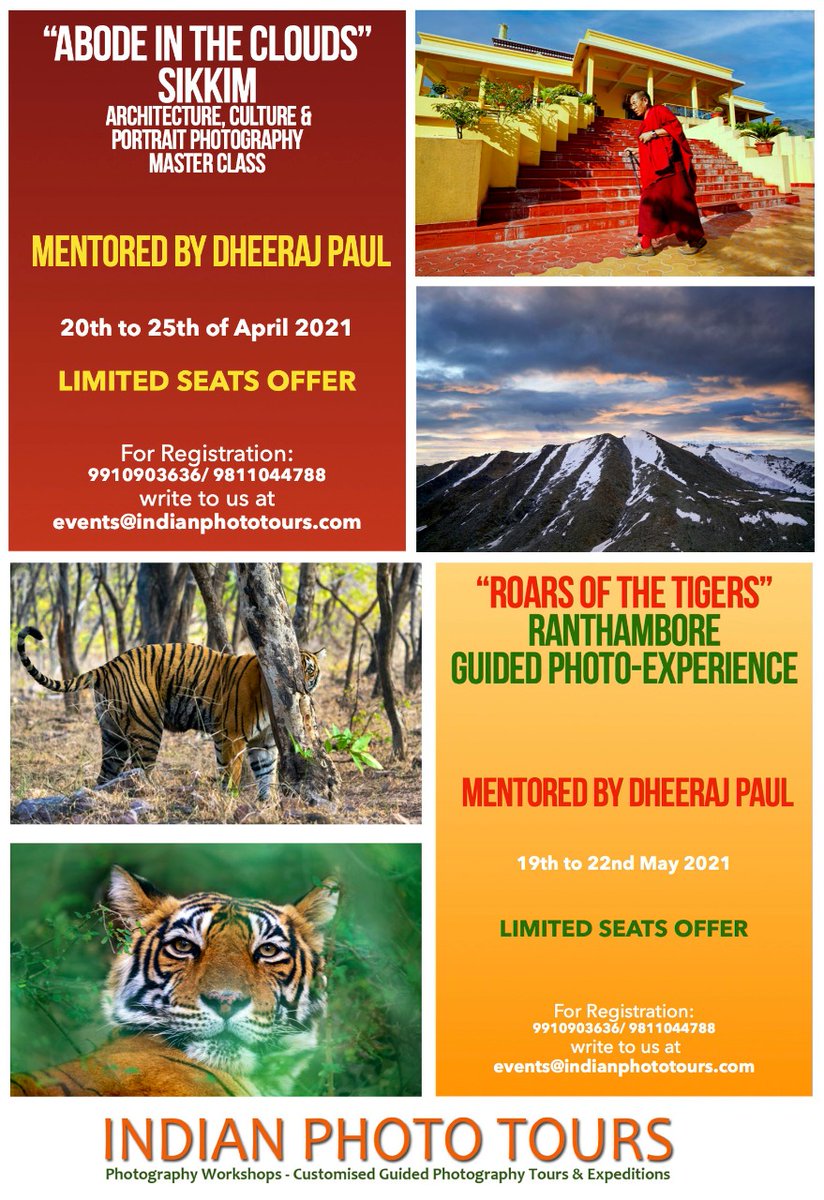 IndianPhotoTour's tweet photo. Our upcoming programs - Guided Photography Expeditions &amp; Experiences @pauldheeraj @IndianPhotoTour #photography #Training #PhotographyRedefined #sikkim #ranthambore #mentoring https://t.co/sQQY55roit