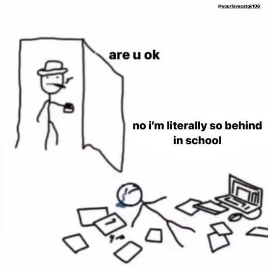 angelina tweet media