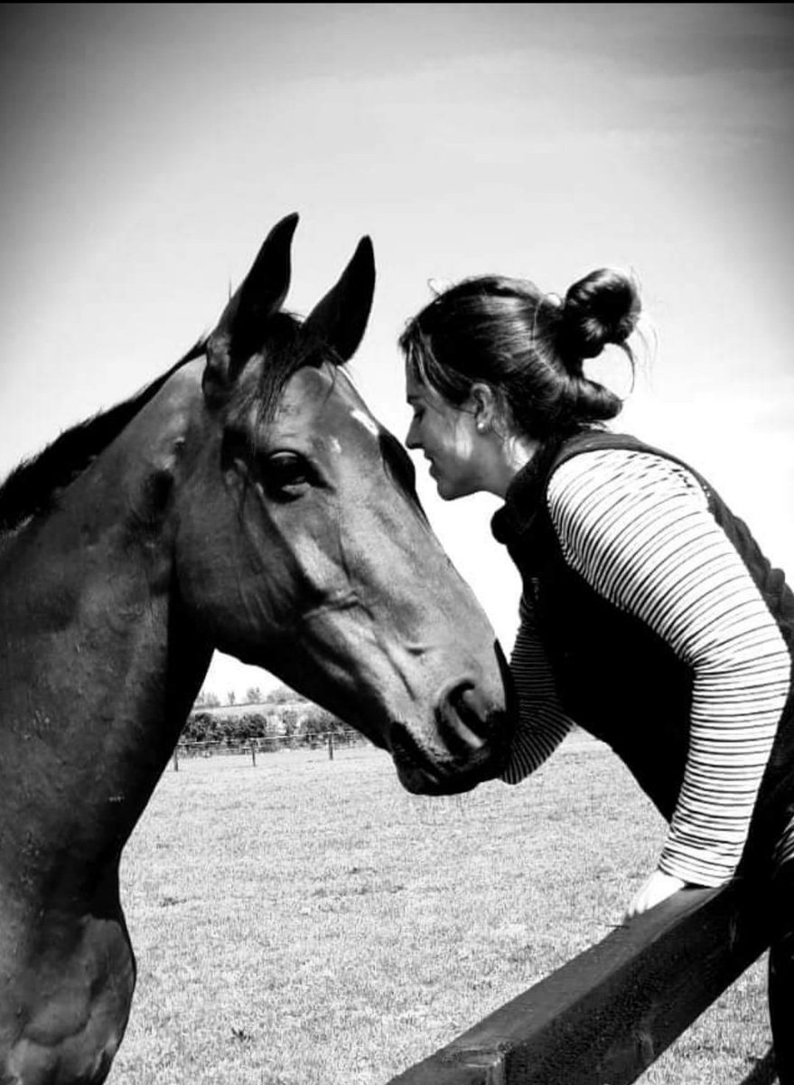 Unfortunately I didn't make it to Cheltenham to be with my Allen.😔 I'm heart broken I can't be with him but we had a facetime this evening. He agreed that he would look after himself, come home safe and show everyone just how good he is❤#MyAllen  <a href="/EnvoiAllen__/">Envoi Allen</a> <a href="/CPStudOfficial/">Cheveley Park Stud</a>