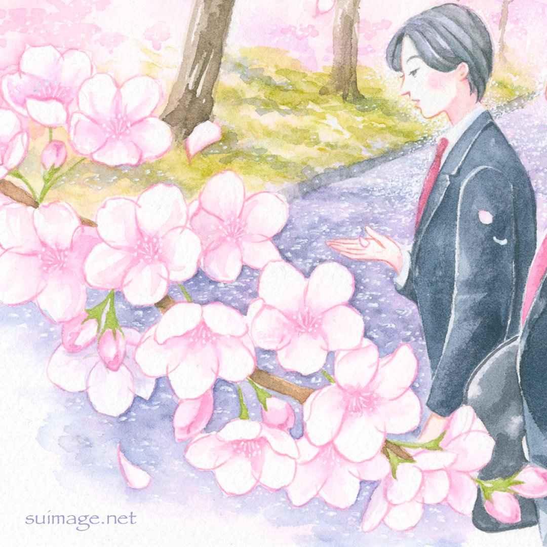Sui 桜の蕾がどんどん膨らんできました 桜並木がピンクに染まるまで あと少しです 桜 桜イラスト イラスト 水彩 Illustration
