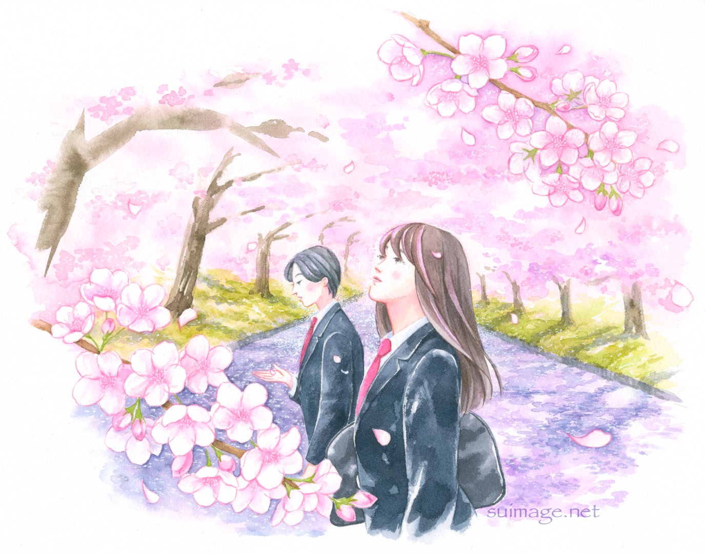 Sui 桜の蕾がどんどん膨らんできました 桜並木がピンクに染まるまで あと少しです 桜 桜イラスト イラスト 水彩 Illustration
