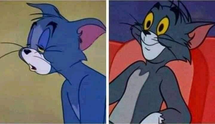 Oproprio19's tweet photo. Eu o dia todo // eu depois das meia-noite https://t.co/4wfOqrPaj2