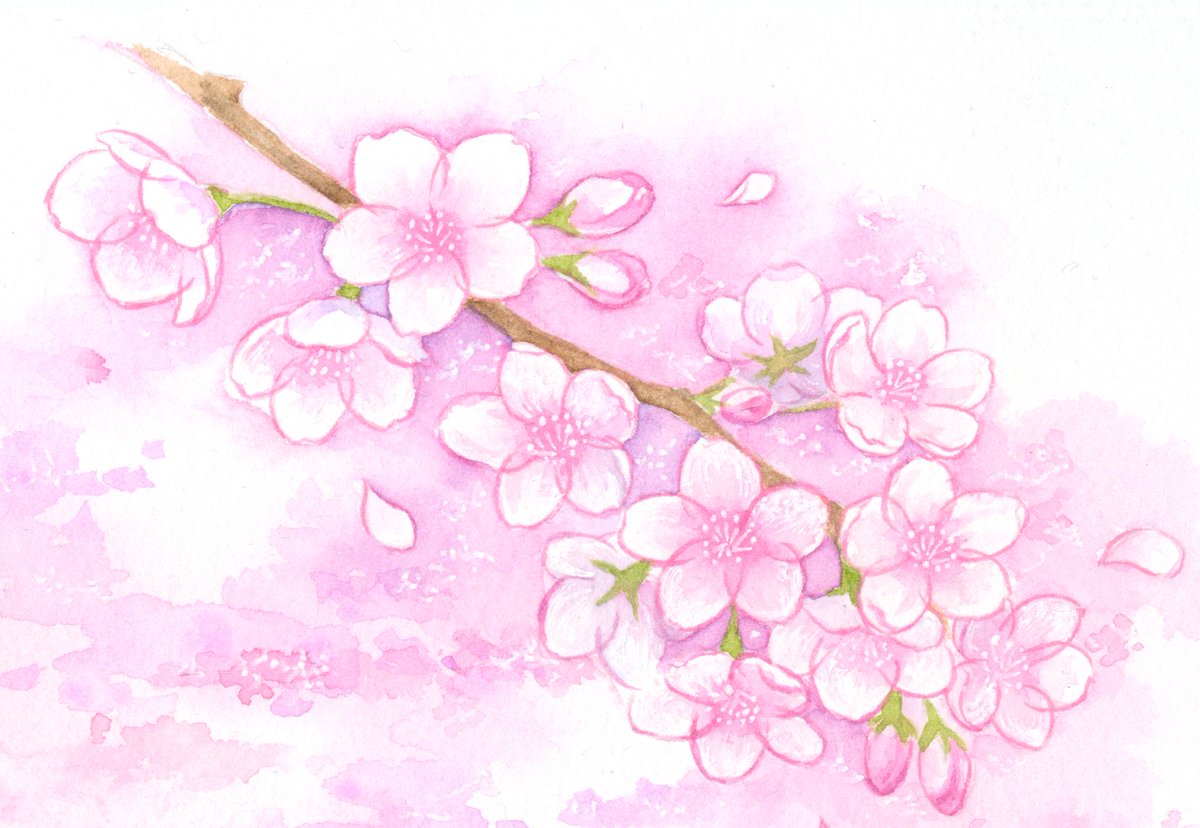 Sui 桜の蕾がどんどん膨らんできました 桜並木がピンクに染まるまで あと少しです 桜 桜イラスト イラスト 水彩 Illustration Sui 桜の蕾がどんどん膨らんできました 桜並木がピンクに染まるまで あと少しです 桜 桜イラスト イラスト 水彩 Illustration