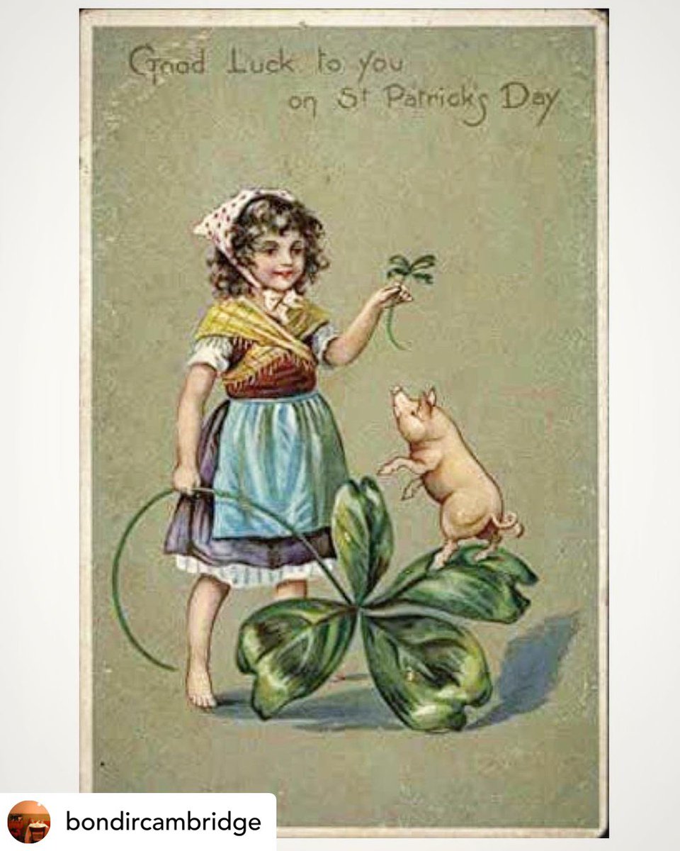 Bondir Cambridge tweet media