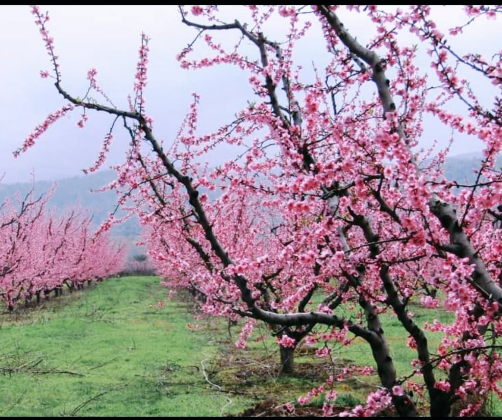 No una ni dos, sino varias veces he ido en mi vida a terapia, he visto lo que me costaba enfrentar y he sanado mucho de todo eso. La mejor manera sin duda de mejorar mi vida personal y profesional. La salud mental es esencial y no verlo tiene consecuencias.#YoTambienVoyAlMedico