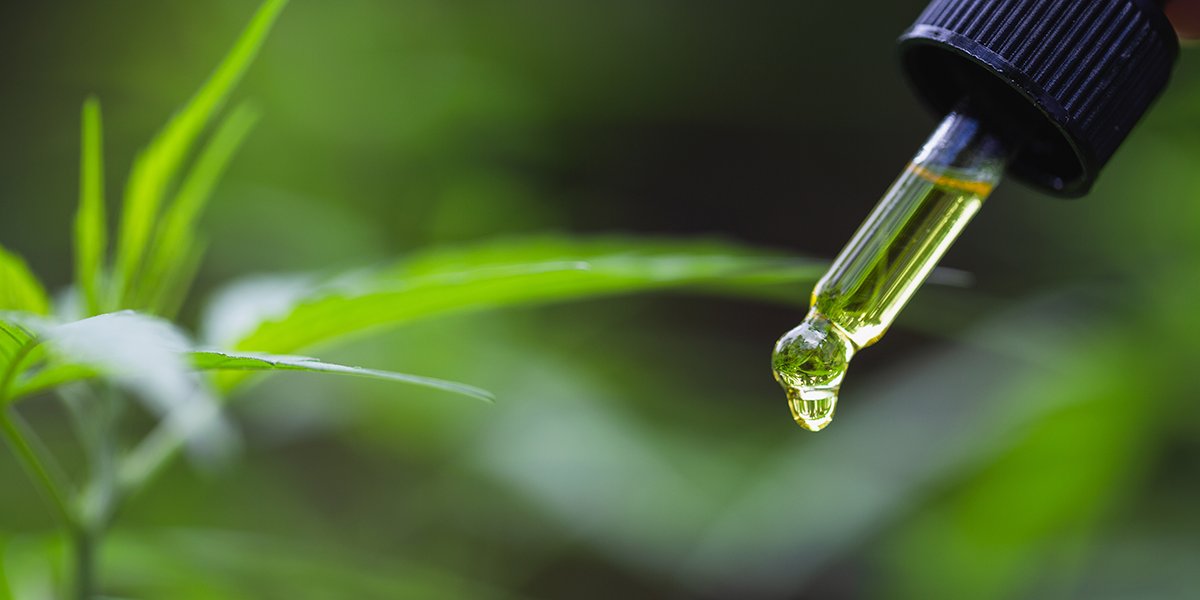 Jitibuy1's tweet photo. The Essential Guide to CBD https://t.co/n8v4IlMgLV https://t.co/7aJuGjrnzP