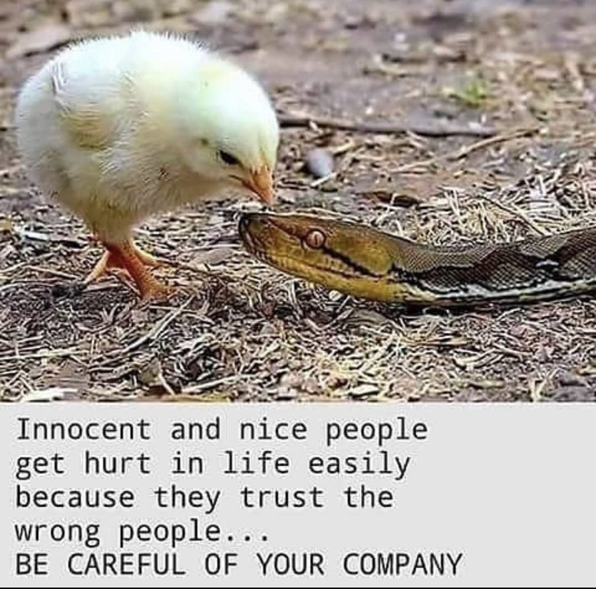 Prettymena5's tweet image. 