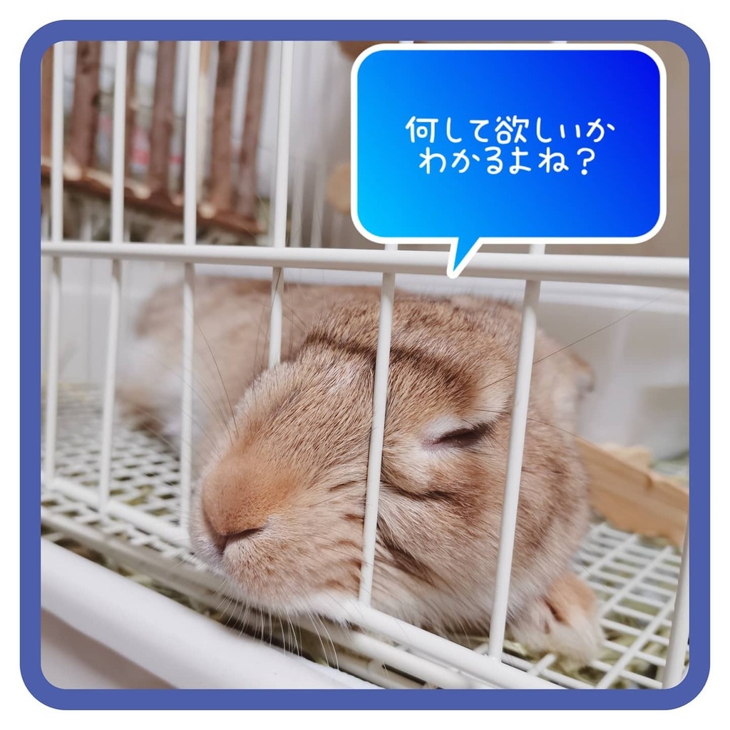 うーた