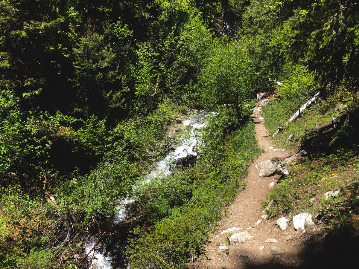 CarsonNF's tweet photo. Happy St. Patrick’s Day! 🍀In case you hadn't noticed, one of our favorite colors is green. 

#CarsonNF #Forest #Nature https://t.co/n7Z1PZMUwj