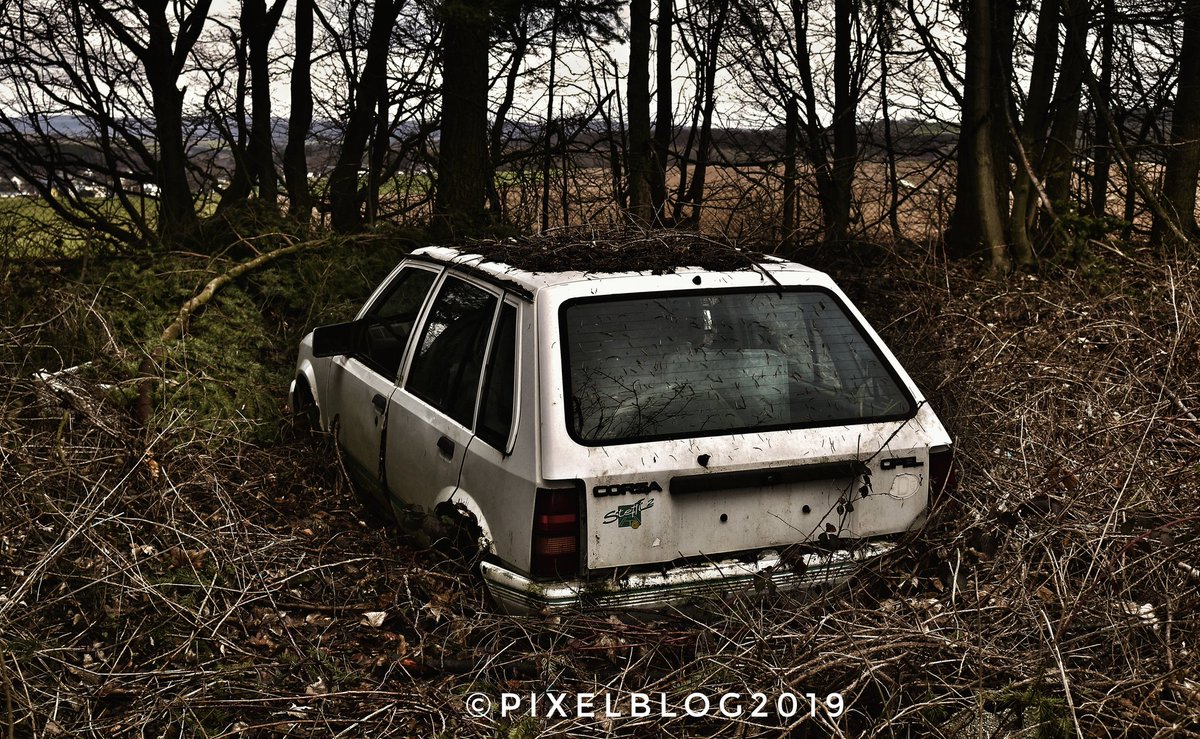 pixelblog2019's tweet photo. Die Natur holt sich alles wieder.....
#natur #nature #naturephotography #naturelover #auto #car #blitz #schrott #schrottauto #eswareinmal #überwuchert #hobbyfotografie #hobbyfoto #hobby #lostplacesphotography #lostplaces #altekiste #photographylover #photography #photolove https://t.co/qoQXqITeEJ