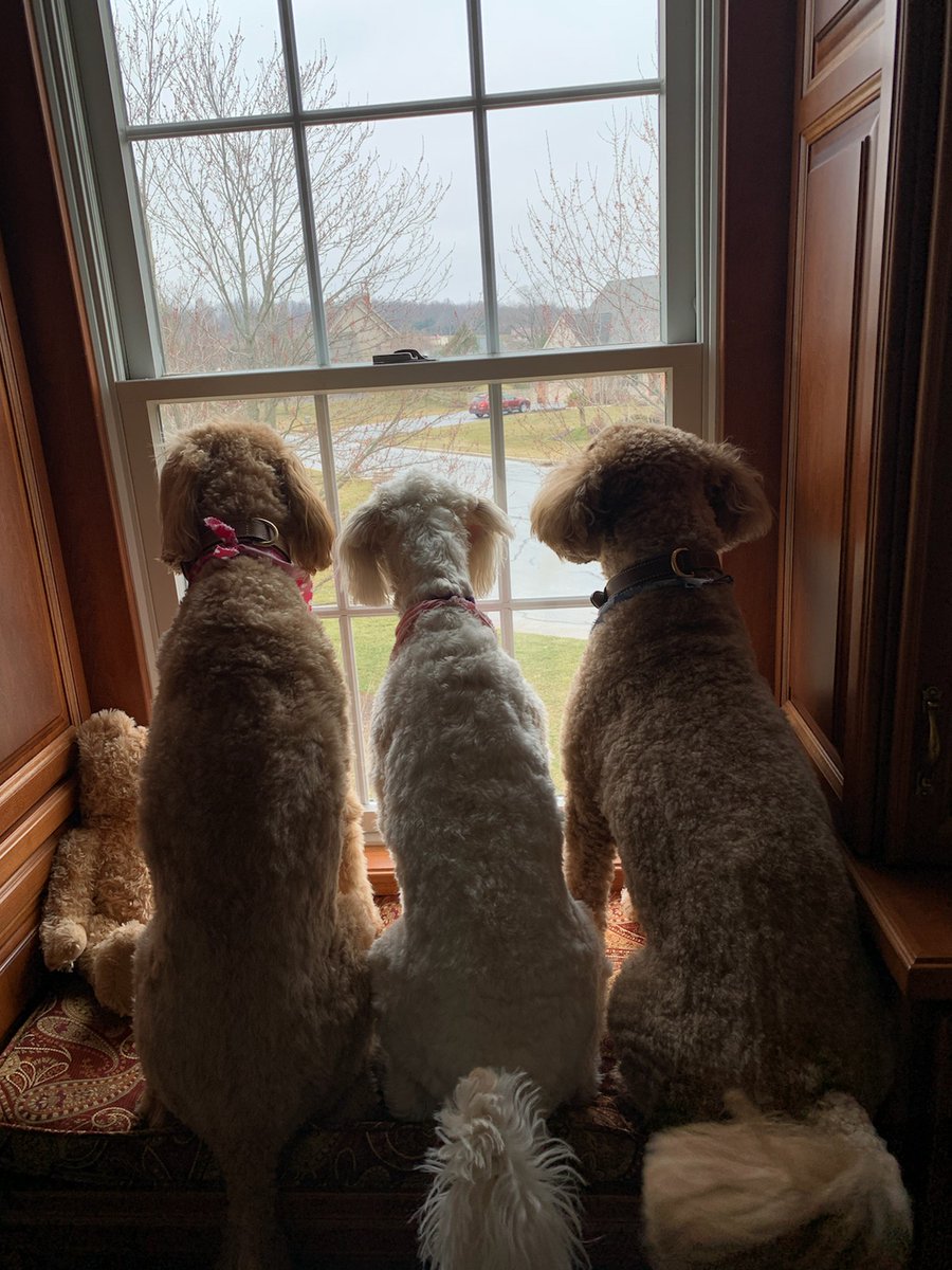 Grillmaster2000 tweet media