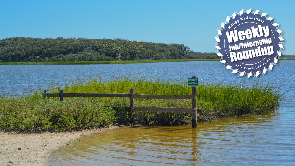 FloridaSeaGrant's tweet image. Our Wednesday jobs round-up is posted on Facebook! This week, various orgs are seeking #aquarium interns, a #bilingual operations intern, #seaturtle stranding coordinator, #scicomm graphic designer &amp;amp; more!

Learn more &amp;amp; apply ⤵️
bit.ly/3bTWN1e

#STEMcareers #SciJobs