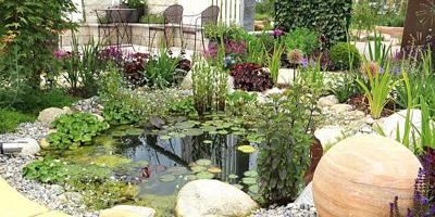 ameliapngt's tweet photo. Sure, you've planted tons of pretty annuals and perennials in your garden. But what about adding a water feature? Water gardens have been popular since ancient times in both private and public spaces. And it's not difficult to under https://t.co/12UFzWuzt5 https://t.co/83HKSFj1cP