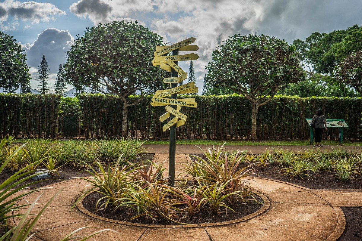 hawaiiverse's tweet photo. Can anyone name this spot?!๐
We'll give you a hint ---> ๐
#humpday #namethatplace #hawaiiverse https://t.co/RANUHNJixP