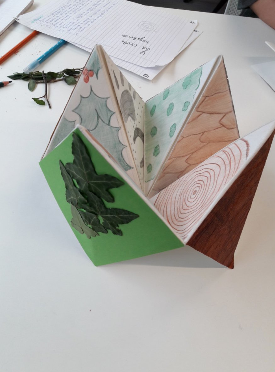 MEDIT - édition jeunesse multisupports tweet media