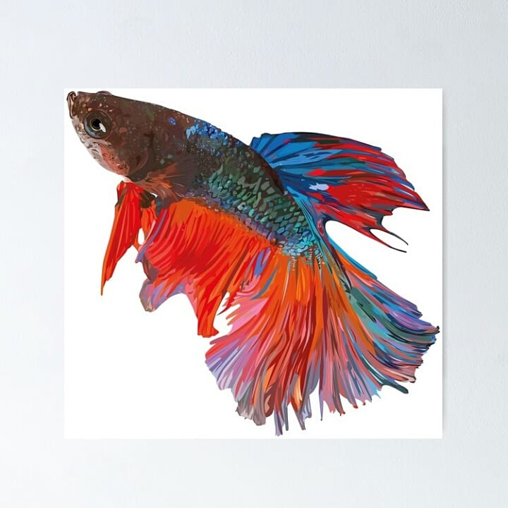 VectorizaT tweet picture