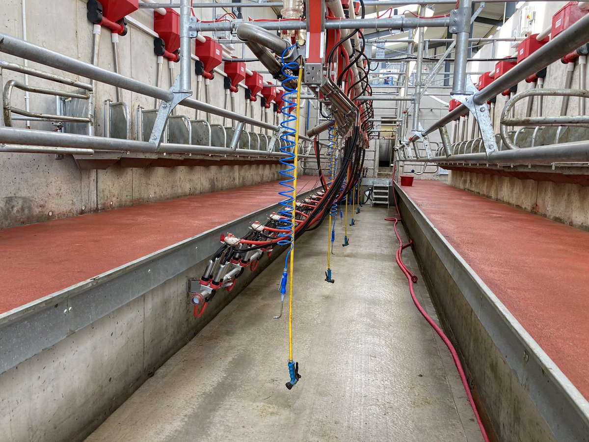 michaelg242's tweet photo. A tidy 16-unit parlour and drafting area in Co. Wicklow that I saw today. 100 cows will be going through it this year with the aim of getting to 150 in the future. Option is there to increase to 20-units if cow numbers increase. https://t.co/M0RajGzbNJ