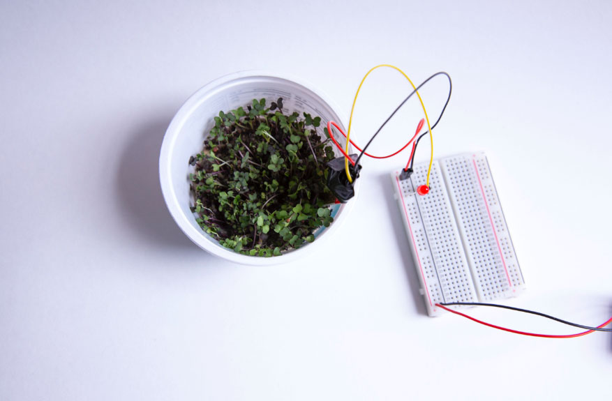 SparkFunEDU's tweet image. The best part about @RedHat&apos;s Co.Lab #kits? Anyone can use them. Educators incorporate them into their #curricula. Parents use these #STEM resources to inspire creativity and collaboration in their kids. And plenty of people use them just for fun! red.ht/3lsofGh