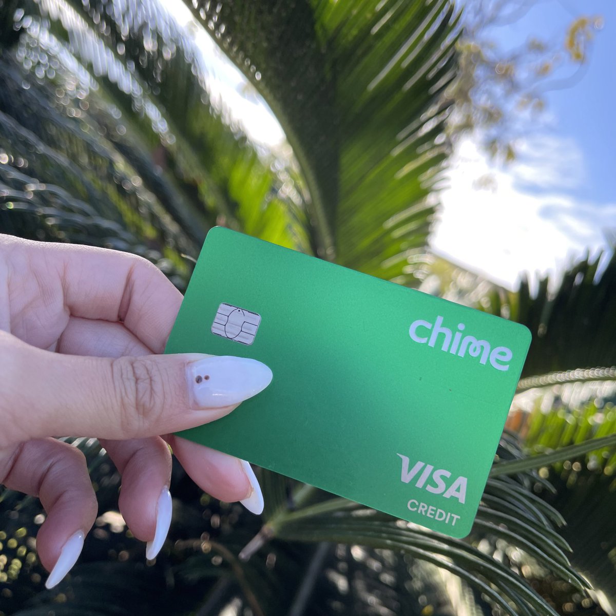 Chime's tweet photo. A wild @Chime card has appeared! RT for good luck 🍀 https://t.co/xy2hJJL3Tt