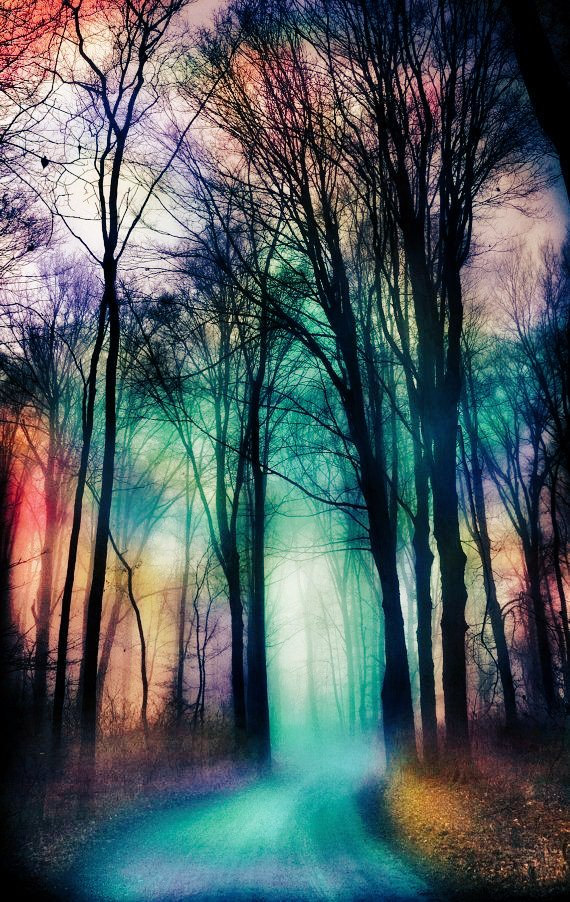SmartB0ss's tweet photo. 💐💐💐POWER OF COLOUR
DIRECTLY INFLUENCES THE SOUL

💐#ColourfulThursday

#Photography #Artistic #Art #Vision #THINK #Expression #Smart #Sleek #Creative #Mindset #beyond #Soul #LifeLessons #Nature #love #Wise #Triggers #wellness #Spring #balm #innovation #character #Motivation
💐 https://t.co/2MxYAmDyVV