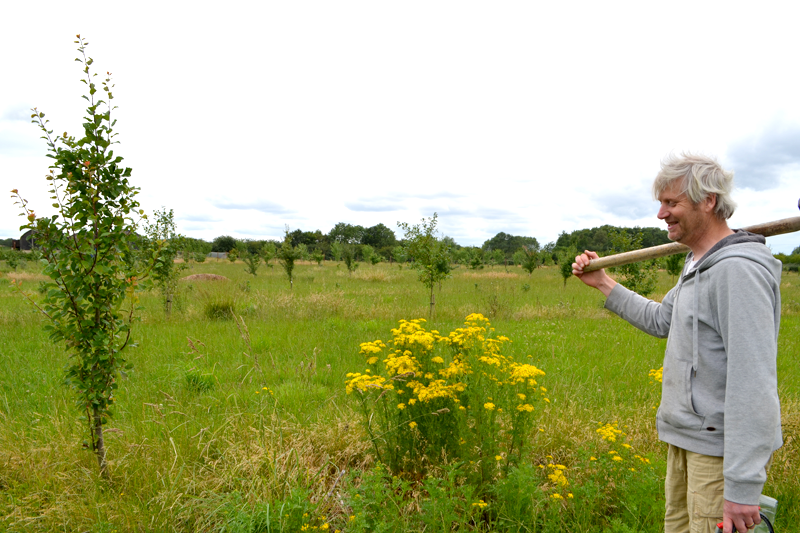 🌳 Trees on farms – it’s a growing movement. Want to get started but not sure how to?

This #FABulousFarmers masterclass  #Agroforesry on your farm takes a closer look of some great systems, including our <a href="/Ben_Raskin/">Ben Raskin</a>'s

📆 25 Mar, 1-3pm gmt
👉ow.ly/r2Z450DNJf6
#silvopasture