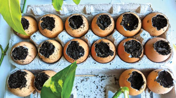 ADavisHMH's tweet photo. Have your students plant seedlings, then share progress and discuss as you watch them grow. 🌱 

Download free K–5 interactive #science activities and get your kids developing hypotheses, performing experiments, and gathering evidence. https://t.co/MAklvEM69n https://t.co/rEsfN7AgpU