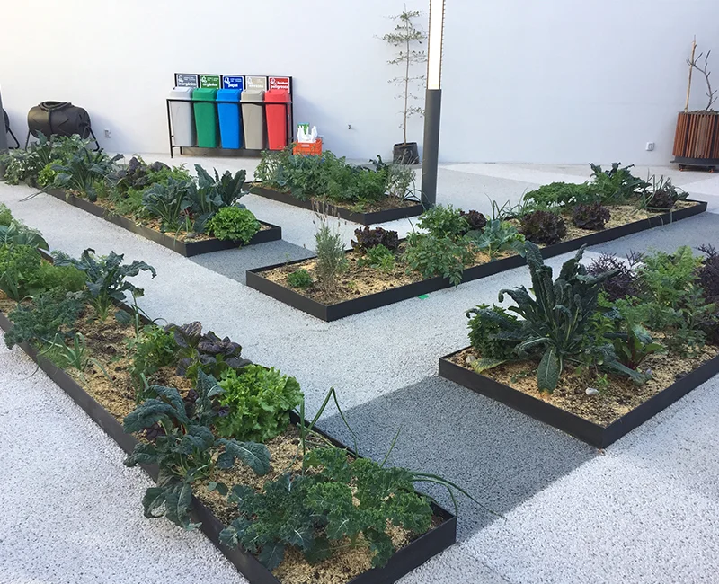 reachoutameric1's tweet photo. Providing seeds to Mexico to train children how to grow vegetables &amp; Flowers in the school programs. Thanks @feedthechildren again for the great partnerships that enable this to happen! @UPCIORG https://t.co/9OBSFsnnf6