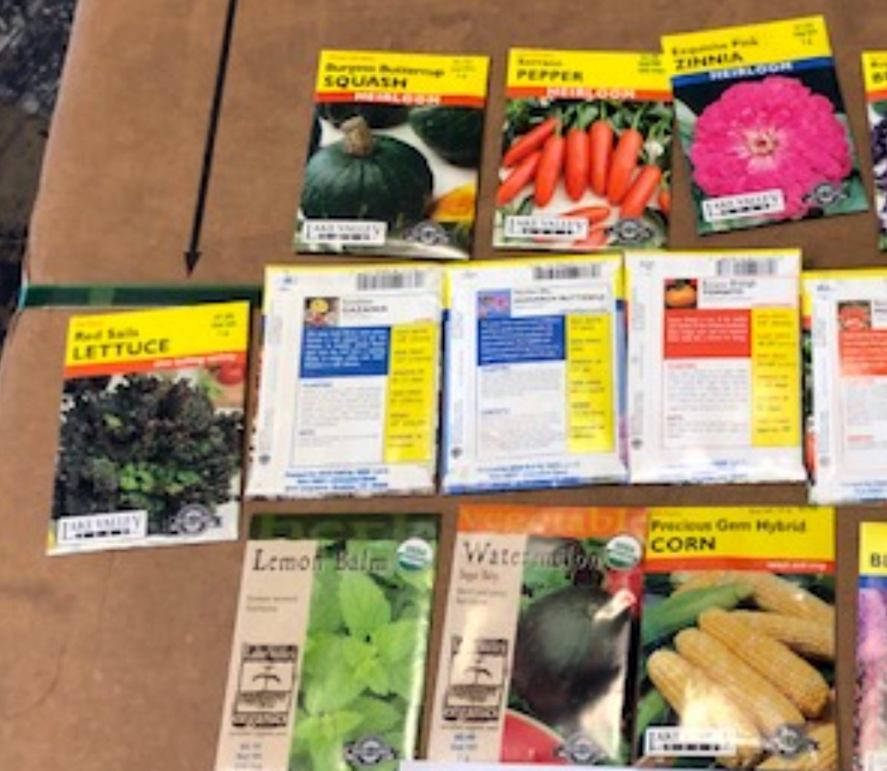reachoutameric1's tweet photo. Providing seeds to Mexico to train children how to grow vegetables &amp; Flowers in the school programs. Thanks @feedthechildren again for the great partnerships that enable this to happen! @UPCIORG https://t.co/9OBSFsnnf6