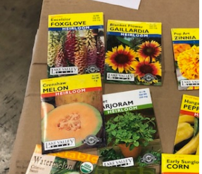 reachoutameric1's tweet photo. Providing seeds to Mexico to train children how to grow vegetables &amp; Flowers in the school programs. Thanks @feedthechildren again for the great partnerships that enable this to happen! @UPCIORG https://t.co/9OBSFsnnf6