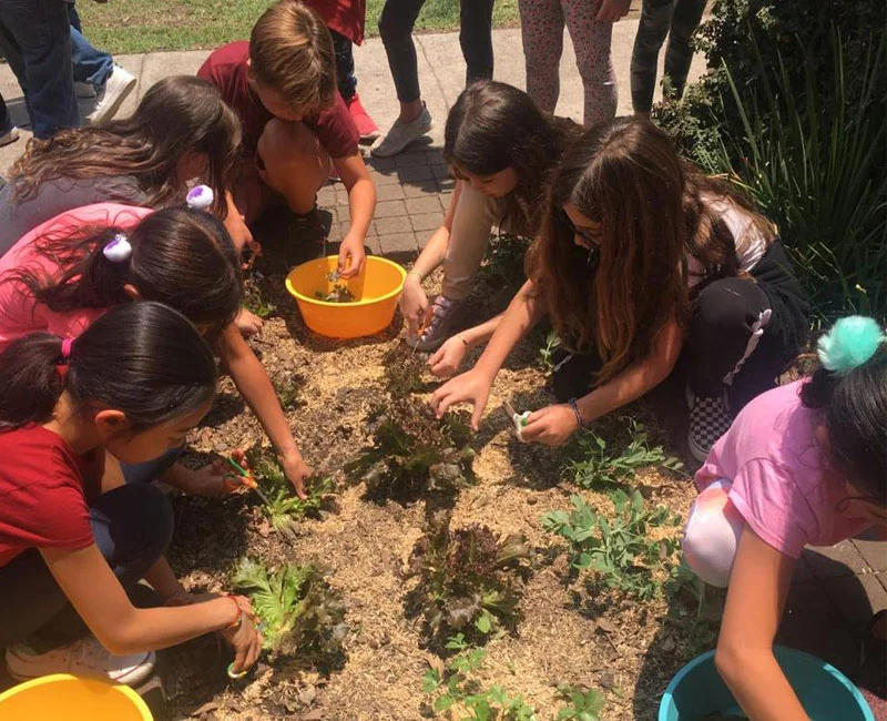 reachoutameric1's tweet photo. Providing seeds to Mexico to train children how to grow vegetables &amp; Flowers in the school programs. Thanks @feedthechildren again for the great partnerships that enable this to happen! @UPCIORG https://t.co/9OBSFsnnf6