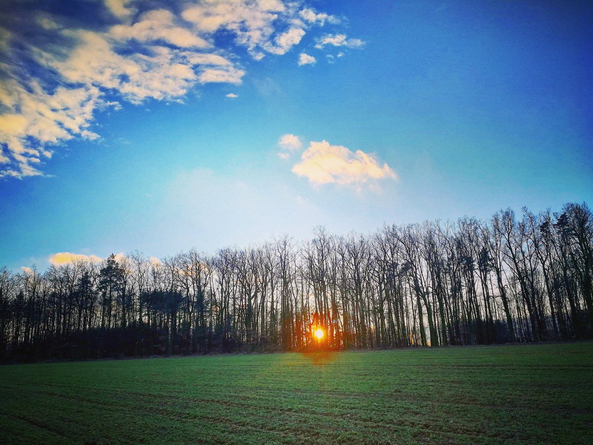 MarieMatusu's tweet photo. Happy moments of my day...  #vysocina #krasnavysocina #zapadslunce #sunsetphotography #NaturePhotography #photography https://t.co/NdebEcascf