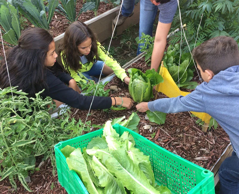 reachoutameric1's tweet photo. Kids learning and growing through the efforts of our partners, with a little help from ROA and @feedthechildren! Thanks Larry Williamson, our founder for developing this relationship.  @UPCIORG @UPCIMissions https://t.co/VQYqd6BDxS