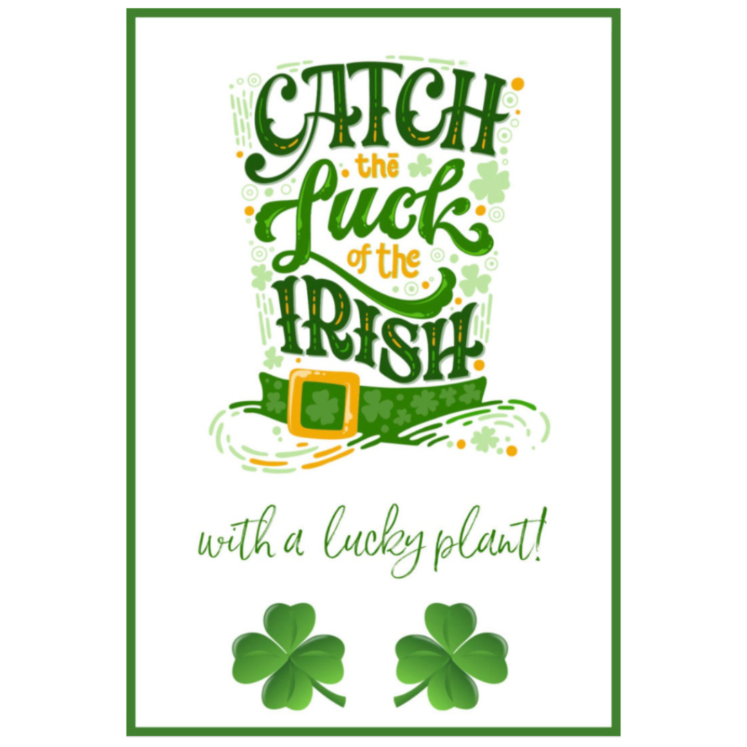 BelladonnaRCT's tweet photo. Just a reminder we have plants 🪴 including 🍀🍀 https://t.co/DPqNT4twSD