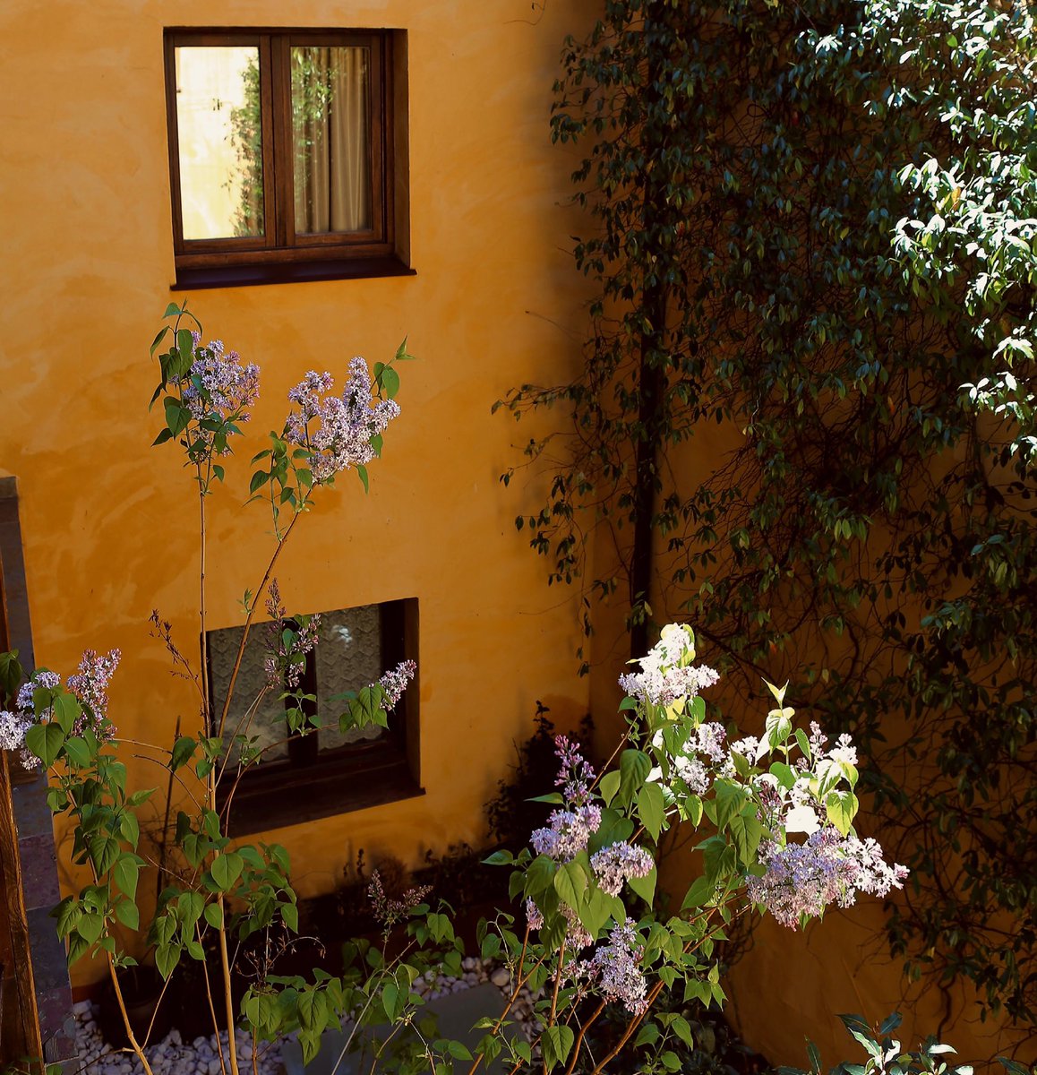 ✨Abre la ventana de tu alojamiento y disfruta del sonido de la naturaleza y el olor a jazmín ✨
———

#sierranortemadrid #desconexion #turismorural #escapadasconencanto #braojos #braojosdelasierra #casaruralmadrid #teletrabajo #petfriendly #estrellarural #saborrural