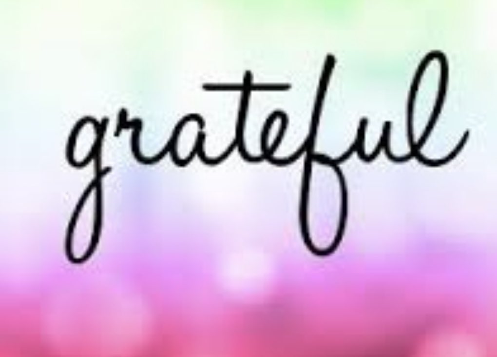 ms_s_nijjar's tweet photo. Grateful for so many amazing colleagues, friends and students! @PeelSchools @FairlawnPSPDSB https://t.co/yK5Dr1ecvz