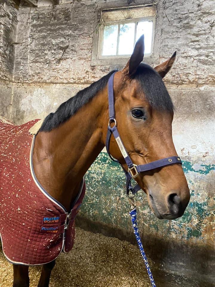 For Sale!!! £2,000 DM me if interested