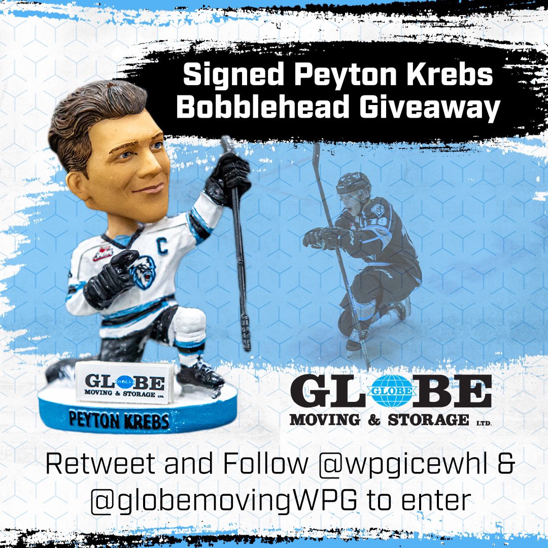 Winnipeg ICE tweet media